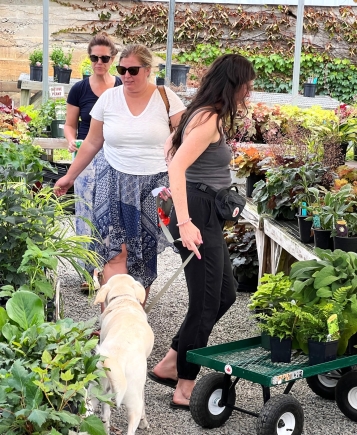 Customers shopping the Perennial Area