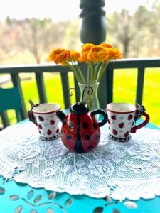 Ladybug Tea Set at Inn at Amaris Farms